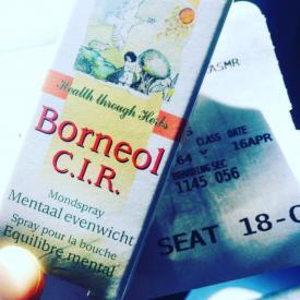 Borneol Vliegticket
